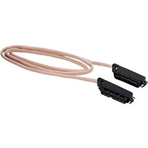 Black Box CAT3 Telco Cable - 5 ft Category 3 Network Cable - First End: 1 x 50-pin Telco - Male - Second End: 1 x 50-pin Telco - (Fleet Network)