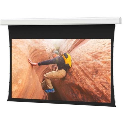 Da-Lite Tensioned Advantage 226" Electric Projection Screen - 16:10 - HD Progressive 1.1 Contrast - 120" Height x 192" Width - Mount (Fleet Network)
