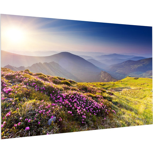 Da-Lite FullVision 208" Projection Screen - 16:10 - HD Progressive 1.1 - 110" Height x 176" Width (Fleet Network)