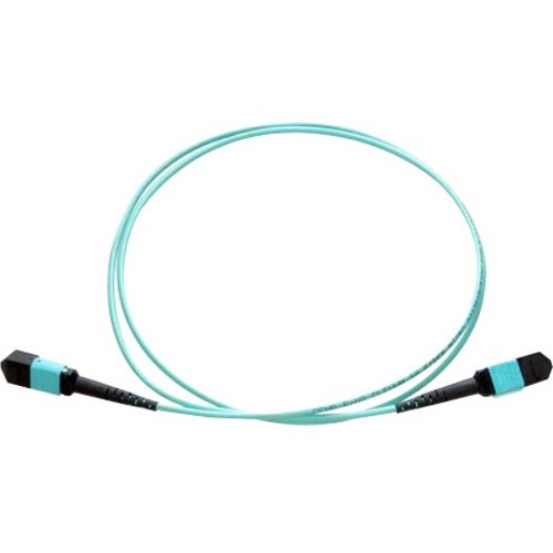 Axiom Fiber Optic Network Cable - 26.2 ft Fiber Optic Network Cable for Network Device - First End: 2 x Female Network - Second End: 2 (Fleet Network)