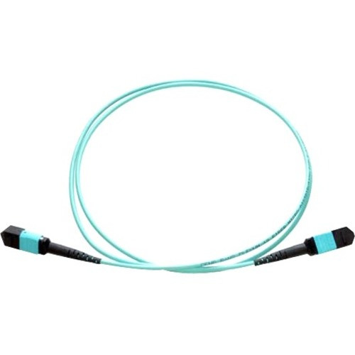 Axiom Fiber Optic Network Cable - 3.3 ft Fiber Optic Network Cable for Network Device - First End: 2 x Female Network - Second End: 2 (Fleet Network)