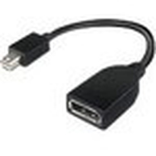 Lenovo Mini-DisplayPort to DisplayPort Adapter - 6 7 170 mm DisplayPort Mini DisplayPort A V Cable for Monitor Audio Vid