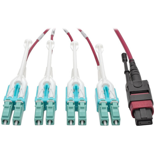 Tripp Lite series N845-01M-8L-MG MTP/MPO to 8xLC Fan-Out Patch Cable, Magenta, 1 m - 3.3 ft (1.01 m) Fiber Optic Network Cable for - 1 (Fleet Network)