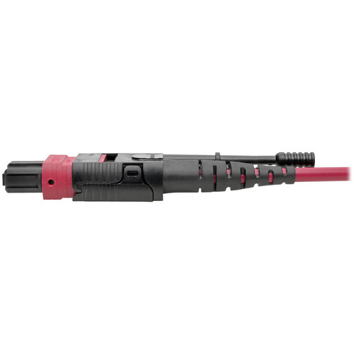 Tripp Lite series N845-01M-8L-MG MTP/MPO to 8xLC Fan-Out Patch Cable, Magenta, 1 m - 3.3 ft (1.01 m) Fiber Optic Network Cable for - 1 (N845-01M-8L-MG)
