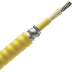 Panduit Fiber Optic Network Cable - Fiber Optic Network Cable for Network Device - 1 (Fleet Network)