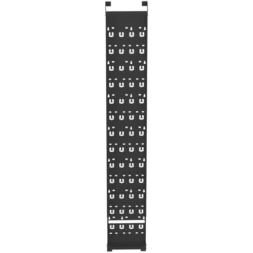 Panduit Vertical Cable Management Bracket - Cable Manager - Black - 1 Pack (Fleet Network)