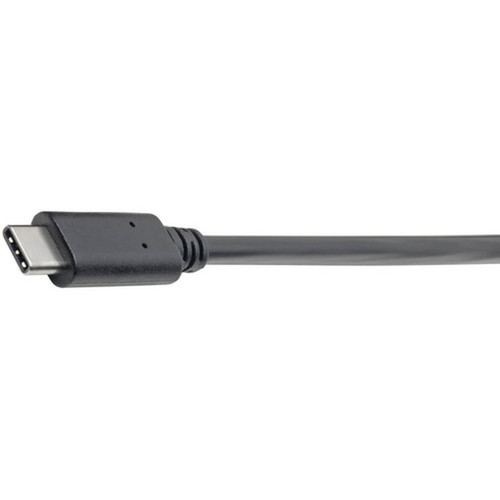 Tripp_Lite_U428-06N-F_USB_Data_Transfer_Cable_-_6_USB_Data_Transfer_Cable_for_Smartphone_Tablet_Ultrabook_Computer_-_First_End_1_U428-06N-F