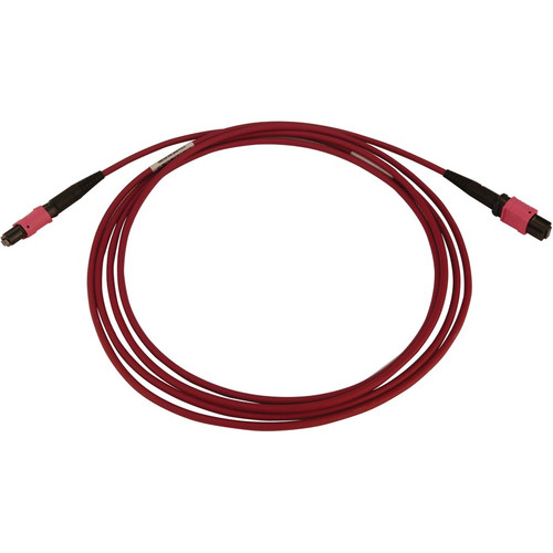 Tripp Lite series N845B-05M-12-MG Fiber Optic Network Cable - 16.4 ft (5 m) Fiber Optic Network Cable for Network Device, Patch Panel, (N845B-05M-12-MG)