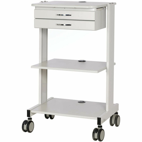 Tripp Lite series Mobile Workstation with 2x Adjustable Shelves, 2x Metal Drawers, Locking Caster - 2 Shelf - 2 Drawer - 44.09 lb (20 (WWSS2DWSTAA)