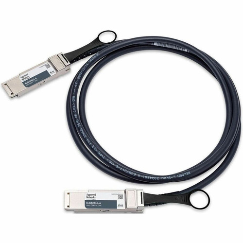 Approved Networks 40GBASE QSFP+ Passive DAC Cable (QSFP+ to QSFP+) - 13.1 ft Twinaxial Network Cable for Network Device, Router, - 1 x (Fleet Network)
