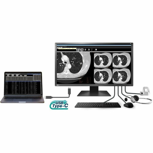 EIZO RadiForce MX317W-BK 31" Class 4K LED Monitor - 17:9 - Black - 30.5" Viewable - In-plane Switching (IPS) Technology - LED - 4096 x (MX317W-BK)