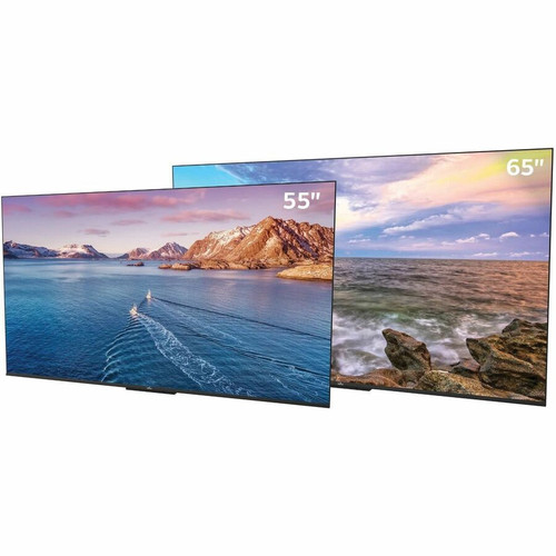 Neptune™ Shade NTSD55 54.6" Smart LED-LCD TV - 4K UHDTV - High Dynamic Range (HDR) - Black - Dolby Vision, HDR10, HDR10+, HLG - (NTSD55)
