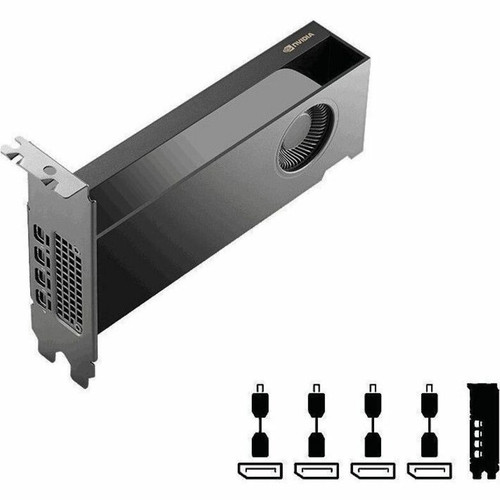 PNY VCNRTXPRO2000B-PB NVIDIA RTX PRO 2000 Graphic Card - 16 GB GDDR7 - PCIe 5.0 x 8 - 4x Mini DisplayPort - Full-height/Low-profile