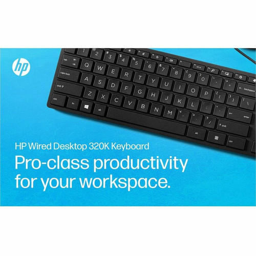 HP 9SR37UT#ABC Wired Desktop 320K Keyboard - French - Canada Layout - USB Cable - Low-Profile Quiet Keys - Plug and Play