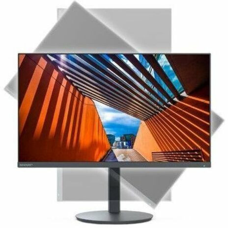 Sharp MultiSync DD-E244F 24" Class Full HD LED Monitor - 16:9 - Black - 23.8" Viewable - In-plane Switching (IPS) Technology - LED - x (DD-E244F)
