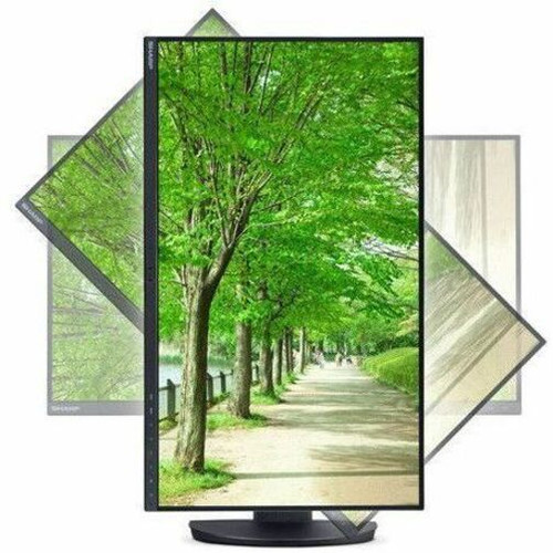 Sharp MultiSync DD-EA242W 24" Class WUXGA LED Monitor - 16:10 - Black - 24" Viewable - In-plane Switching (IPS) Technology - LED - x - (DD-EA242W)
