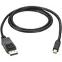 Black Box Mini DisplayPort to DisplayPort Cable, MM, 10-ft. (3.0-m) - 10 ft DisplayPort/Mini DisplayPort A/V Cable for Notebook, - 1 x (Fleet Network)