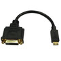 6 inch Mini-HDMI Male to DVI Female - Black FN-AD-HDMIC-DVI
