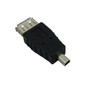 USB A Female to Mini 4-Pin Male Adapter (FN-AD-USB-07)