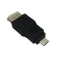 USB A Female to Micro B Male Adapter (FN-AD-USB-12)