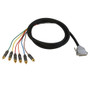 10ft Premium Phantom DB25 M to 6xRCA M 6-channel Snake cable (THX pinout) (FN-S6-25-RCA-10)