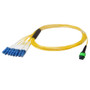100ft - 30m 8-Fiber Singlemode MPO/APC Female (no guide pins) to 8x LC/UPC (clipped in pairs), OFNP