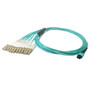 82ft - 25m 12-Fiber Multimode OM3 12-Position MPO Female no guide pins to 12x LCUPC not clipped OFNP