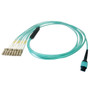 6.5ft - 2m 8-Fiber Multimode OM4 12-Position MPO Female (no guide pins) to 8x LC/UPC (clipped in pairs), OFNP