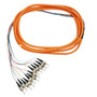 3m STPC 12-fiber Multimode 625µ OM1 Jacketed Pigtail 19inch 900um fan-out OFNR FN-FO-PT500-10J-12F