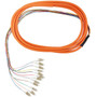 3m LCPC 12-fiber Multimode 625µ OM1 Jacketed Pigtail 19inch 900um fan-out OFNR FN-FO-PT508-10J-12F