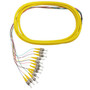 3m STUPC 12-fiber Singlemode 9Ãµ Jacketed Pigtail 19inch 900um fan-out OFNR FN-FO-PT600-10J-12F