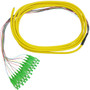 3m SC/APC 12-fiber Singlemode 9Ãµ Jacketed Pigtail, 19inch 900um fan-out, OFNR (FN-FO-PT604-10AJ-12F)