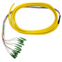 3m LC/APC 12-fiber Singlemode 9Ãµ Jacketed Pigtail, 19inch 900um fan-out, OFNR (FN-FO-PT608-10AJ-12F)