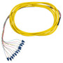 3m LC/UPC 12-fiber Singlemode 9Ãµ Jacketed Pigtail, 19inch 900um fan-out, OFNR (FN-FO-PT608-10J-12F)