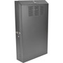 Tripp Lite SmartRack SRWF4U36 Rack Cabinet - For Patch Panel Server - 4U Rack Height x 19 48260 mm Rack Width - Wall Mountable - SRWF4U36