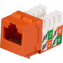 Black Box GigaBase2 CAT5e Jack, Universal Wiring, Orange, Single-Pack - 1 Pack - 1 x RJ-45 Female - Tin - Orange (Fleet Network)