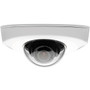 AXIS P3905-R MK II Network Camera - Color - 1920 x 1080 - 3.6 mm - Cable - Dome (Fleet Network)