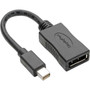Keyspan Mini DisplayPort to DisplayPort Adapter-4K x 2K  60 Hz Keyspan Black 6 in - 6 DisplayPortMini DisplayPort AV Cable for P139-06N-DP4K6B