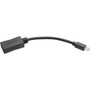 Keyspan Mini DisplayPort to DisplayPort Adapter-4K x 2K  60 Hz Keyspan Black 6 in - 6 DisplayPortMini DisplayPort AV Cable for P139-06N-DP4K6B