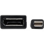 Keyspan Mini DisplayPort to DisplayPort Adapter-4K x 2K  60 Hz Keyspan Black 6 in - 6 DisplayPortMini DisplayPort AV Cable for P139-06N-DP4K6B