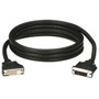 Black Box DVI Cables - 10 ft Video Cable - First End 1 x DVI-D Male - Second End 1 x HD-15 Male EVNDVI01-0010