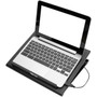 Tripp Lite Notebook Cooling Pad - 2 Fans - Plastic NC2003SR