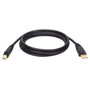 Tripp Lite USB 20 Cable - 10 ft USB Data Transfer Cable - First End 1 x Type A Male - Second End 1 x Type B Male USB - Black U022-010-R