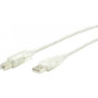 StarTech.com Transparent USB 2.0 cable - 4 pin USB Type A (M) - 4 pin USB Type B (M) - 10 ft - Type A Male - Type B Male - 10ft - (Fleet Network)