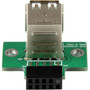 StarTechcom 2 Port USB Motherboard Header Adapter - USB A to USB 10 Pin Header FF - 1 x IDC Female - 2 x Type A Female USB USBMBADAPT2