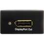 StarTech.com HDMI or DVI to DisplayPort Active Converter - Functions: Signal Conversion (HDMI2DP)