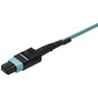 StarTechcom 10m 30 ft MPO  MTP to LC Breakout Cable - Plenum Rated Fiber Optic Cable - OM3 Multimode 40Gb - PushPull-Tab - Aqua - MPO8LCPL10M