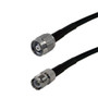 10ft LMR-195 TNC-RP (Reverse Polarity) Male to TNC-RP (Reverse Polarity) Male Cable (FN-RF1-2222-10)
