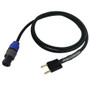 10ft Premium  2-Pole speakON to Dual Banana Clip Speaker Cable 14AWG FT4 (FN-SP-N1B2C-10)