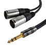 25ft Premium Y-Splitter TRS to 2x XLR Male Unbalanced Cable (FN-TRS-2XLRM-25)